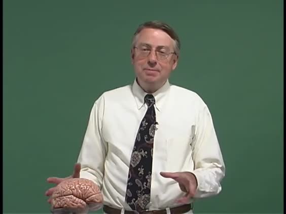 29621