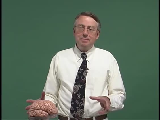 29622
